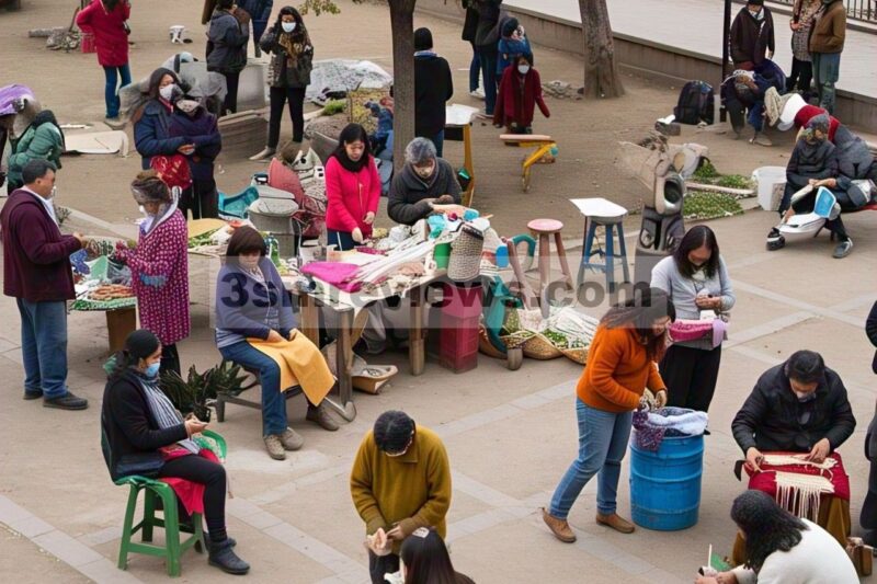 INFRASTRUKTUR PERAWATAN DI CHILE SELAMA PANDEMI: Jalinan Komunitas, Ruang dan Produksi Barang Umum