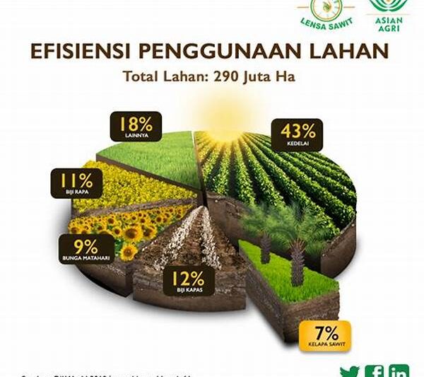 Efisiensi Lahan